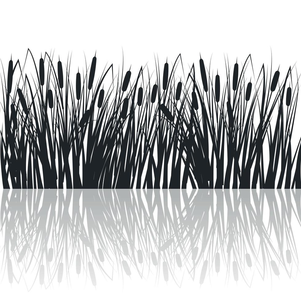 Silhouette of reeds and rushes in the green grass. Swamp and river vector