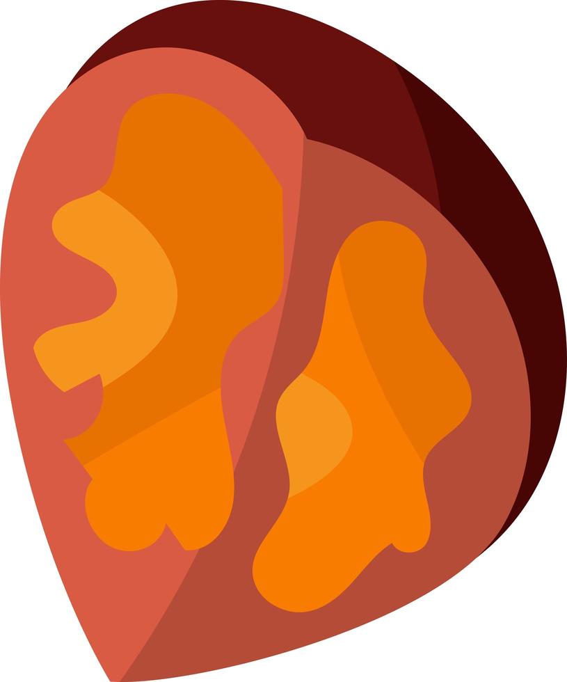 Walnut autumn natural delicious nutrition vector