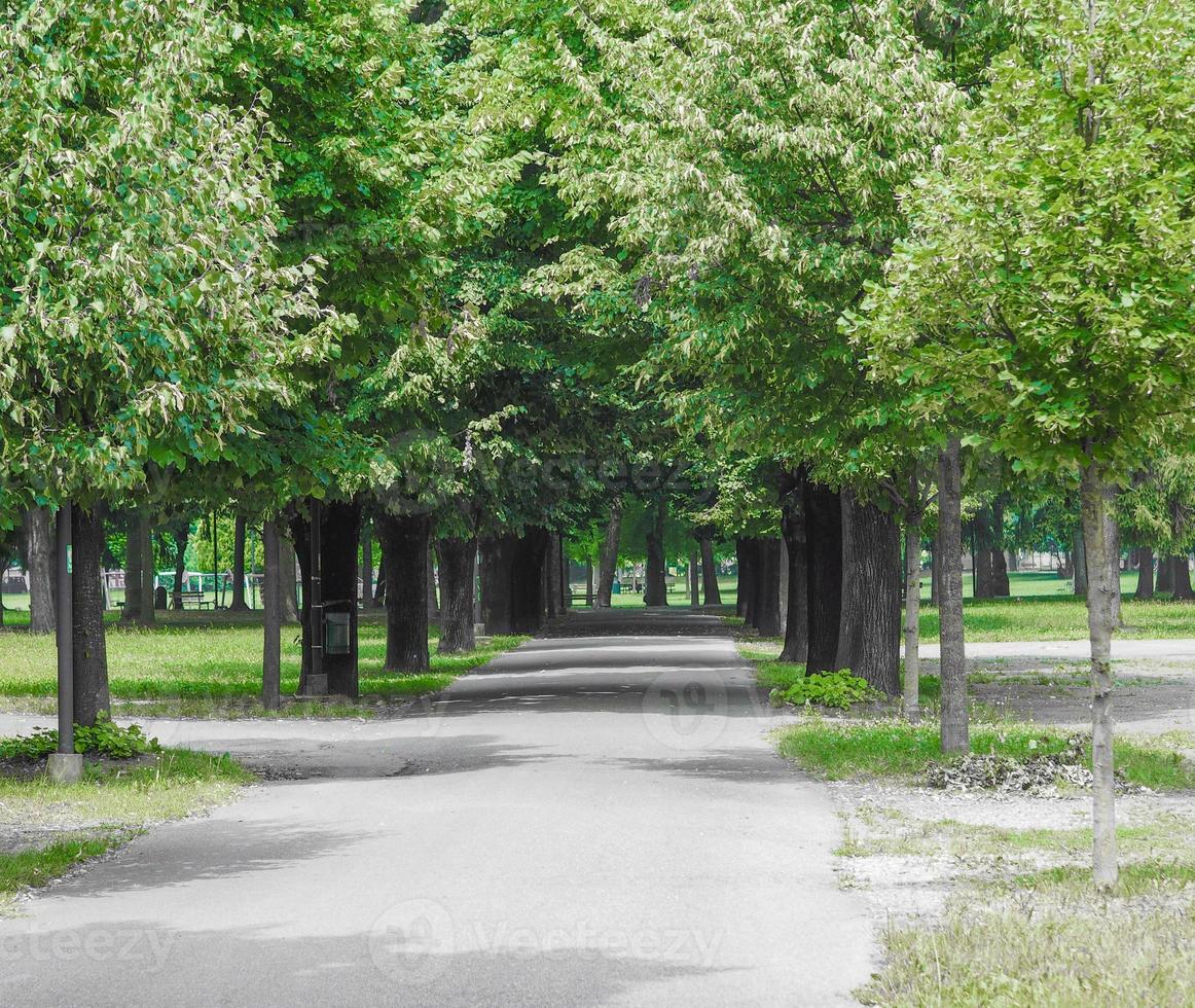 Dalla Chiesa park in Collegno photo