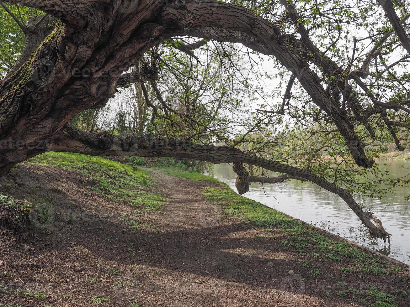 River Po in Turin photo