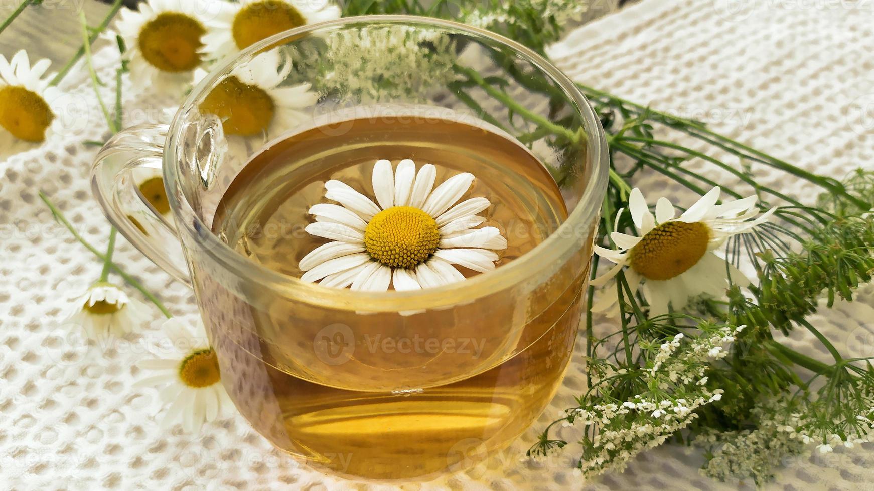 Soothing hot tea with chamomile flowers photo