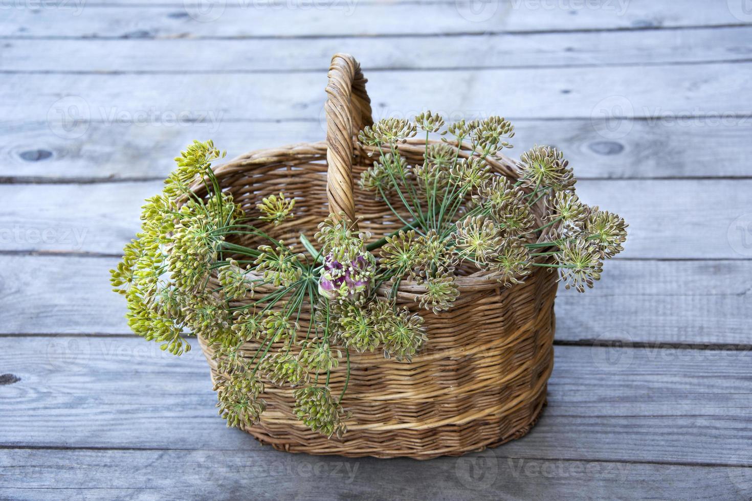 Wicker basket with dill sprigs photo