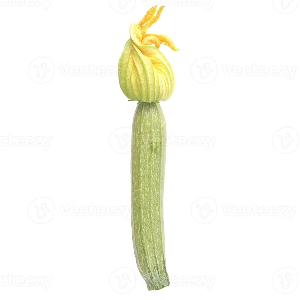 Courgette zucchini isolated photo