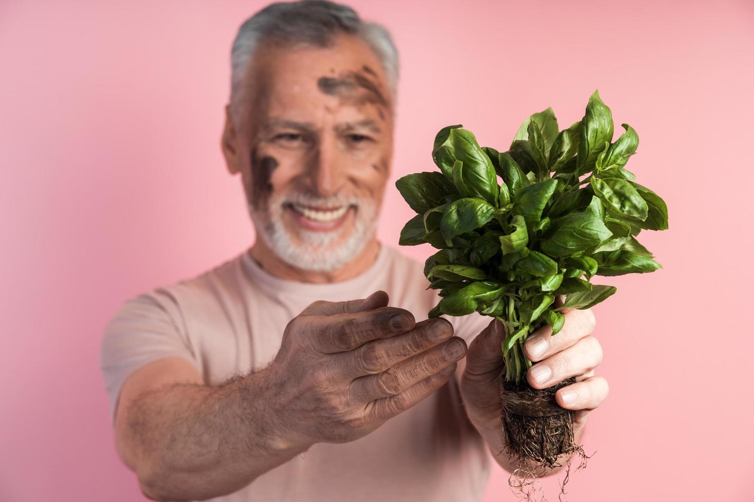 Close-up view of an older man holding a basil in his hands photo