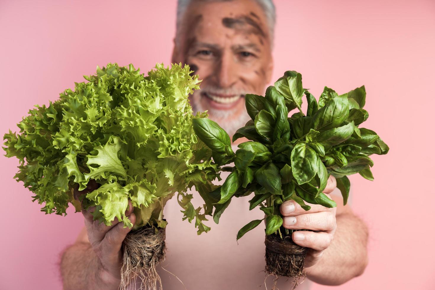 Close-up view, senior man holding fresh food - lettuce and basil photo