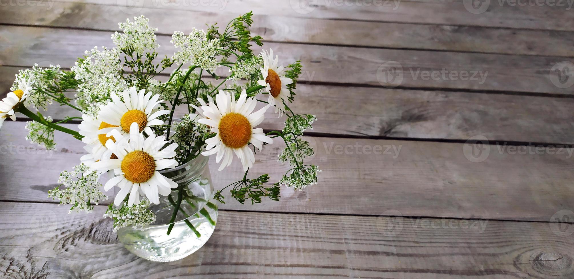 Banner with a bouquet of daisies and place for text photo