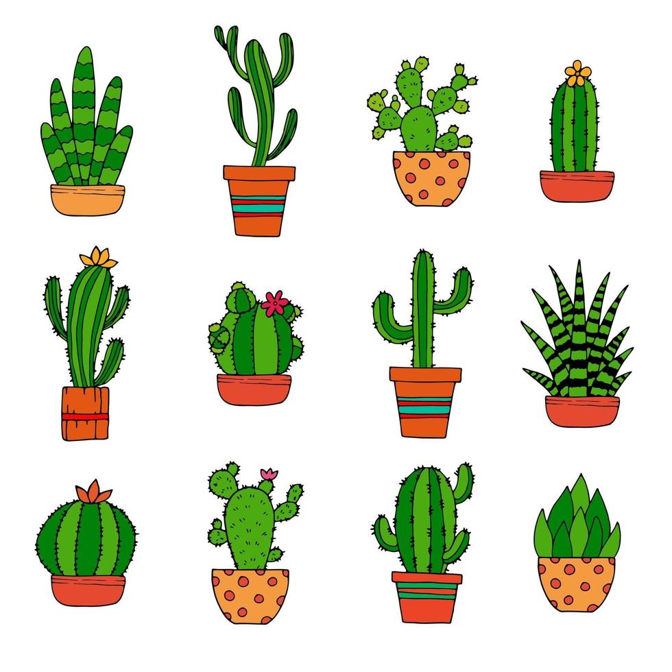 Blooming cactus. Cactus with flower. Cactus in pot. Colored cactus. vector