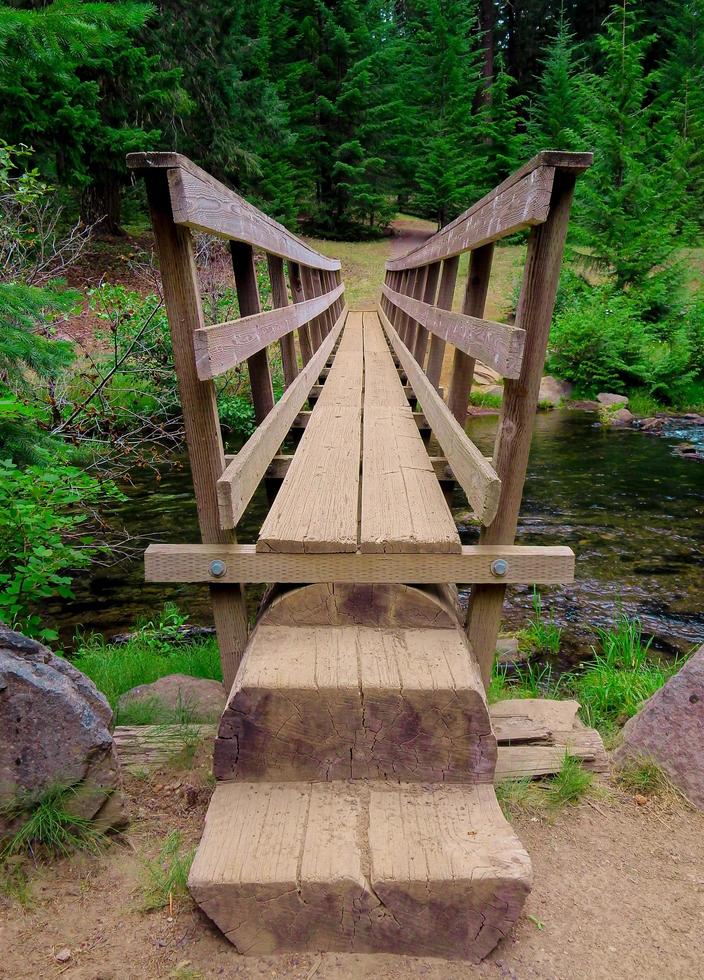 Crossing the Forest Creek at Clear Creek Campground Cascade Range OR photo