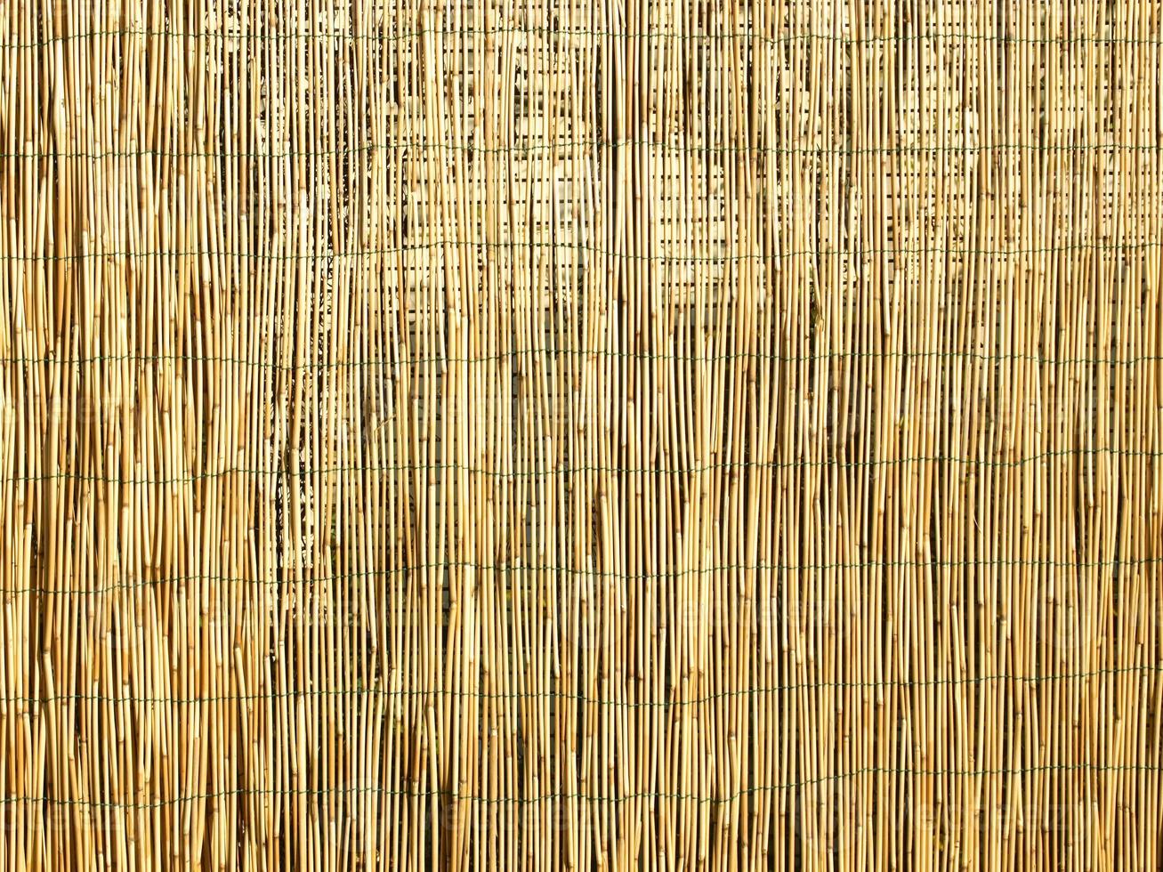 textura de madera de bambú foto