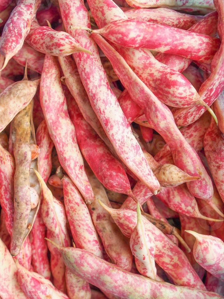 Cranberry beans background photo