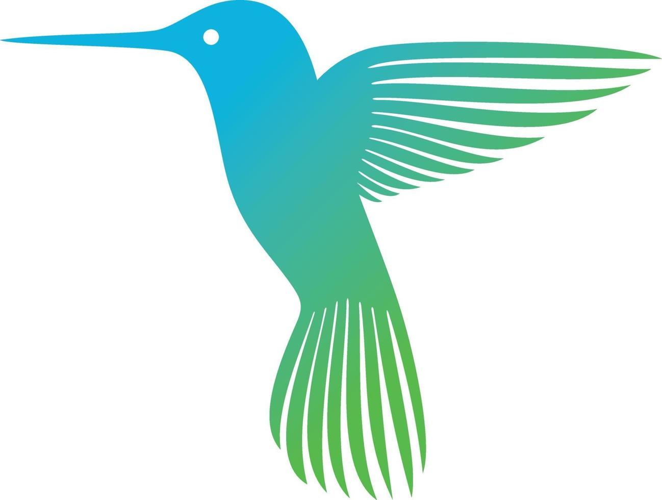 colibrí o colibri vector