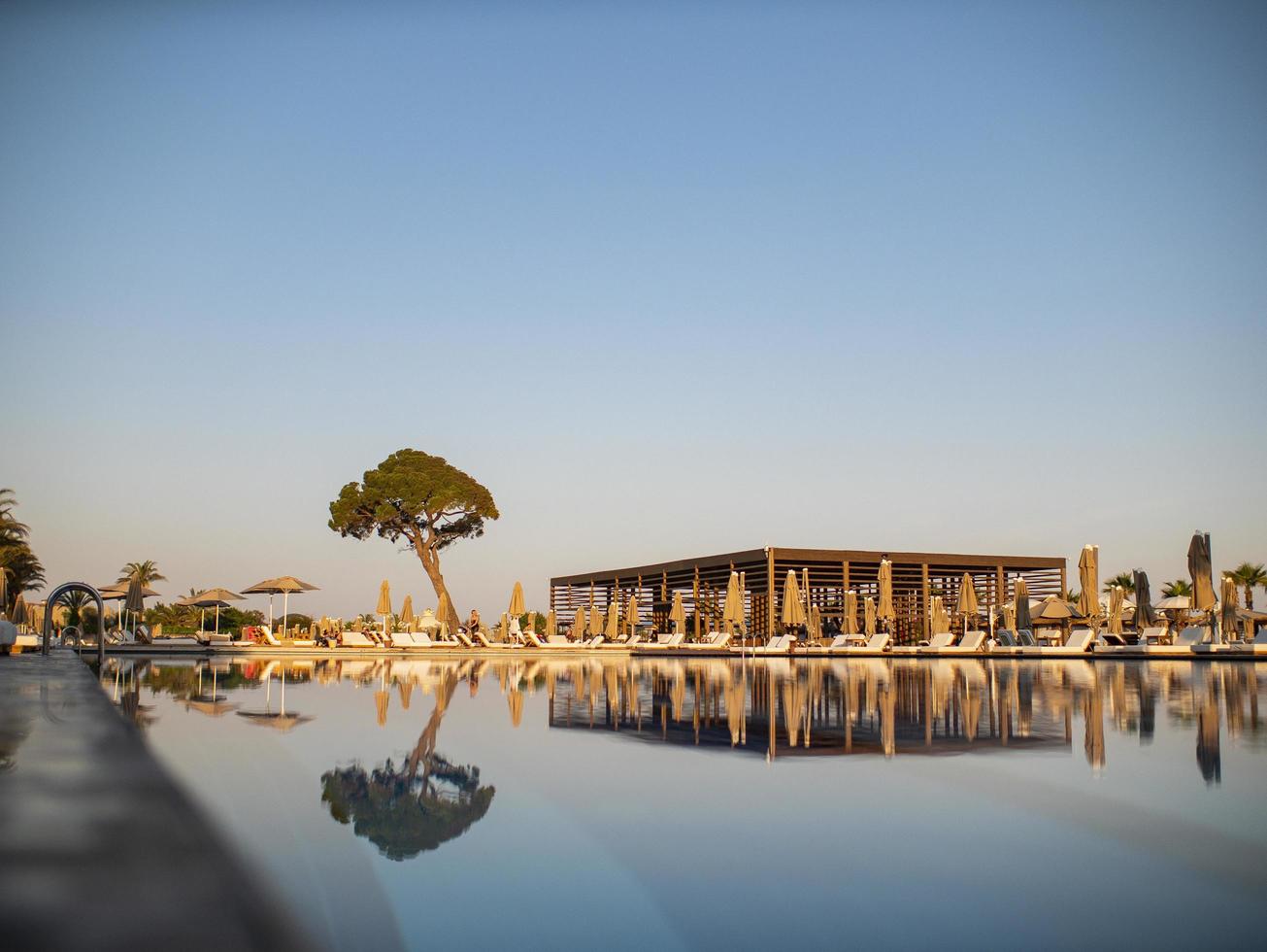 Swimming pool in luxury resort or hotel with view of coconut tree photo