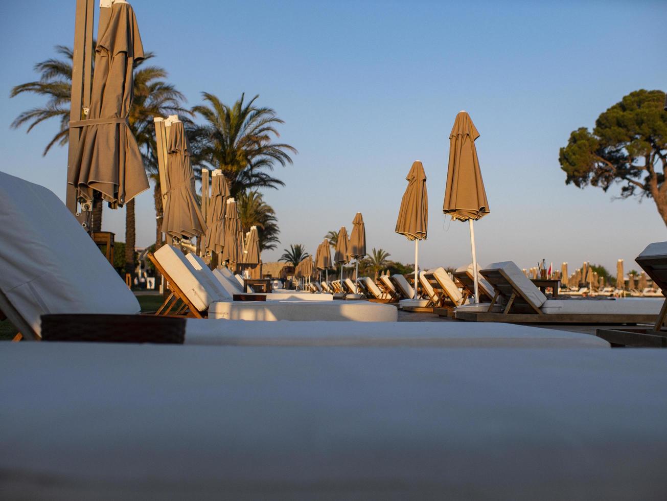 sunbeds and umbrellas near resort's pool photo