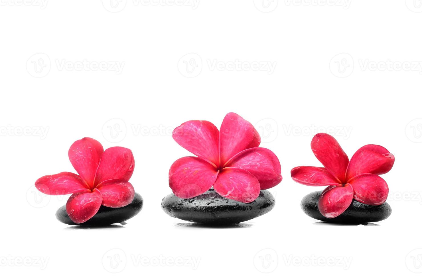 piedras zen con flor de frangipani foto