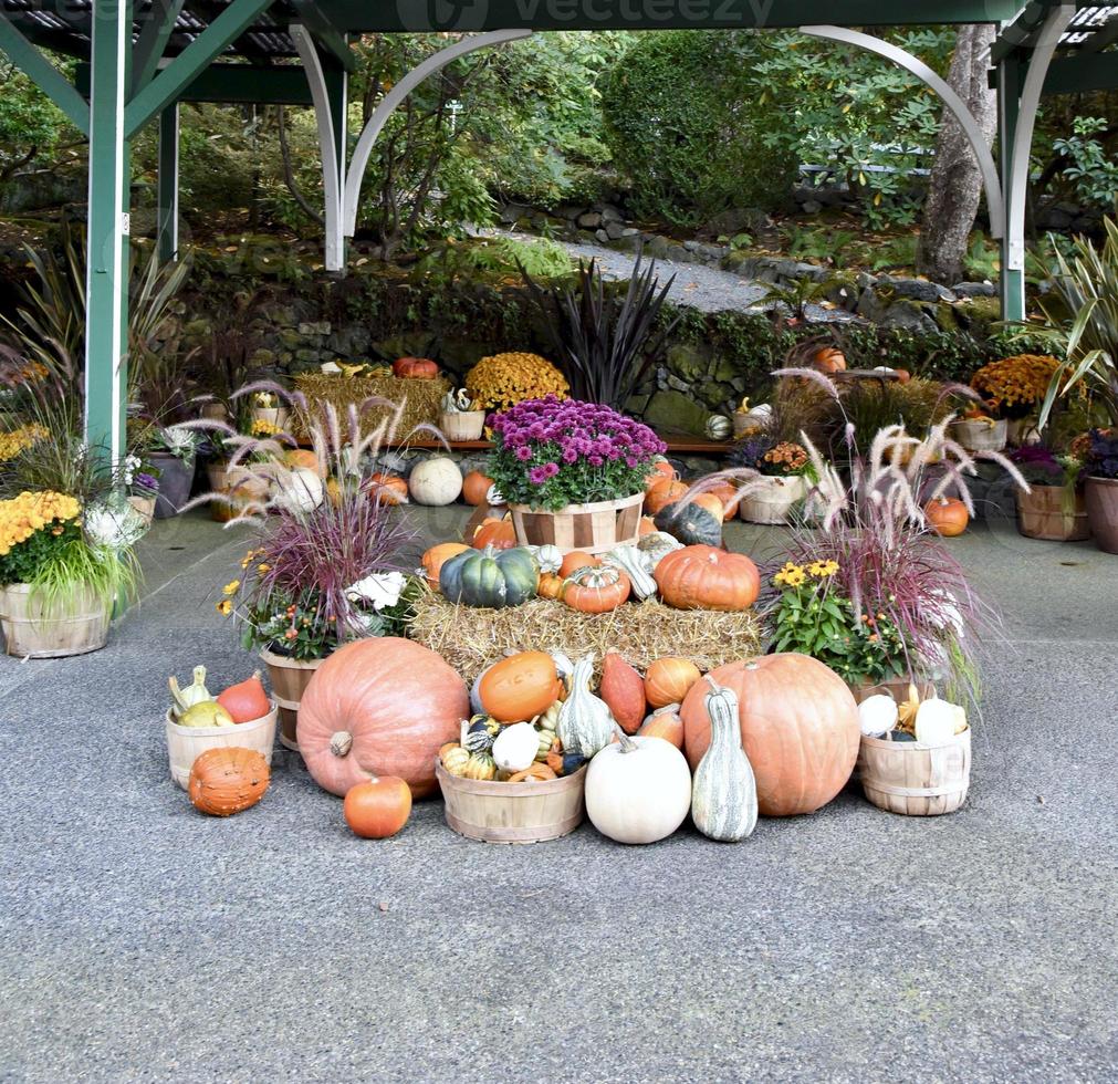 Thanksgiving Pumpkins and Gourds photo