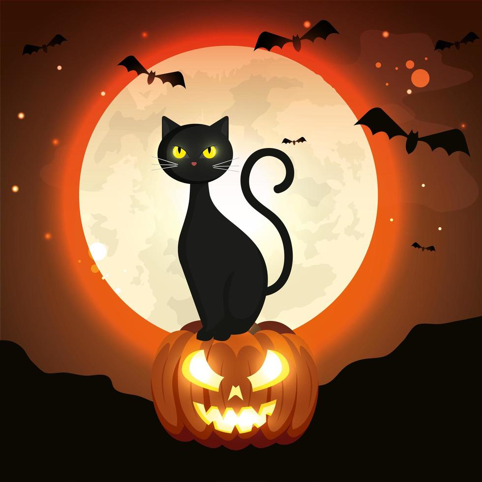 gato en calabaza de halloween en la noche oscura vector