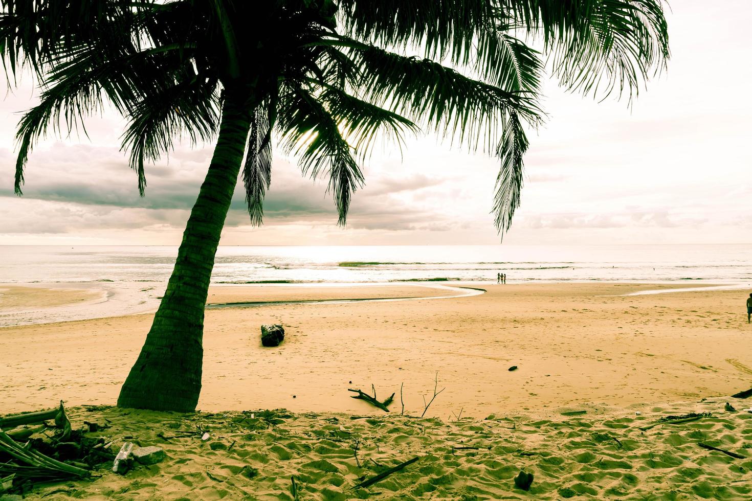 Coconut tree with tropical beach - vintage effect filter photo