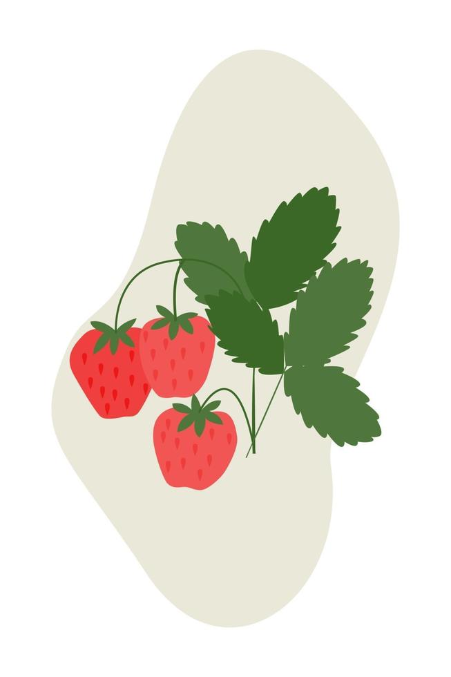 naturaleza muerta con fresas de jardín. vector