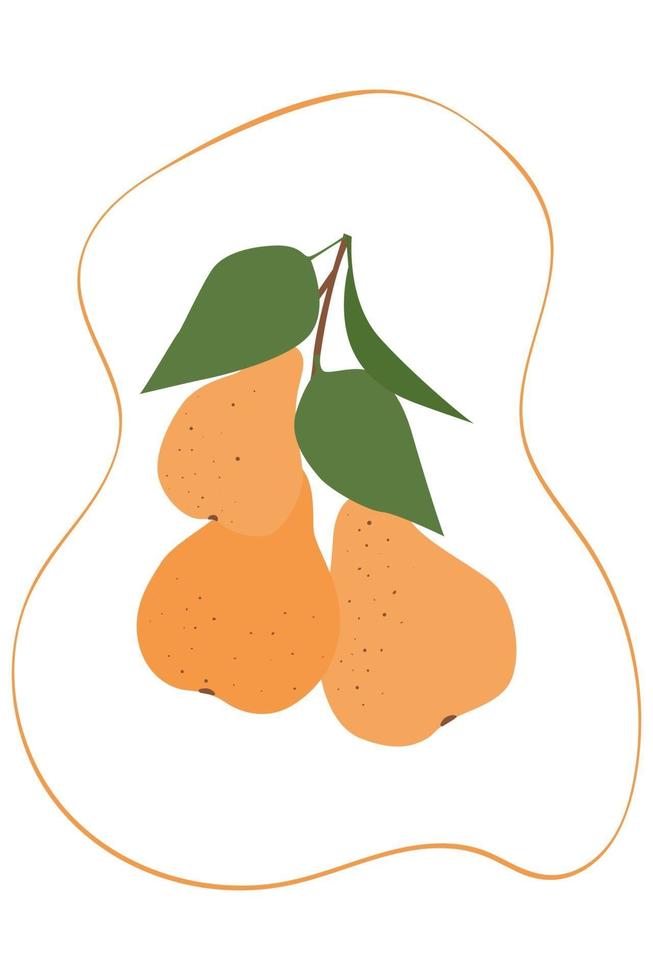 Pear branch isolated on a white background. vector