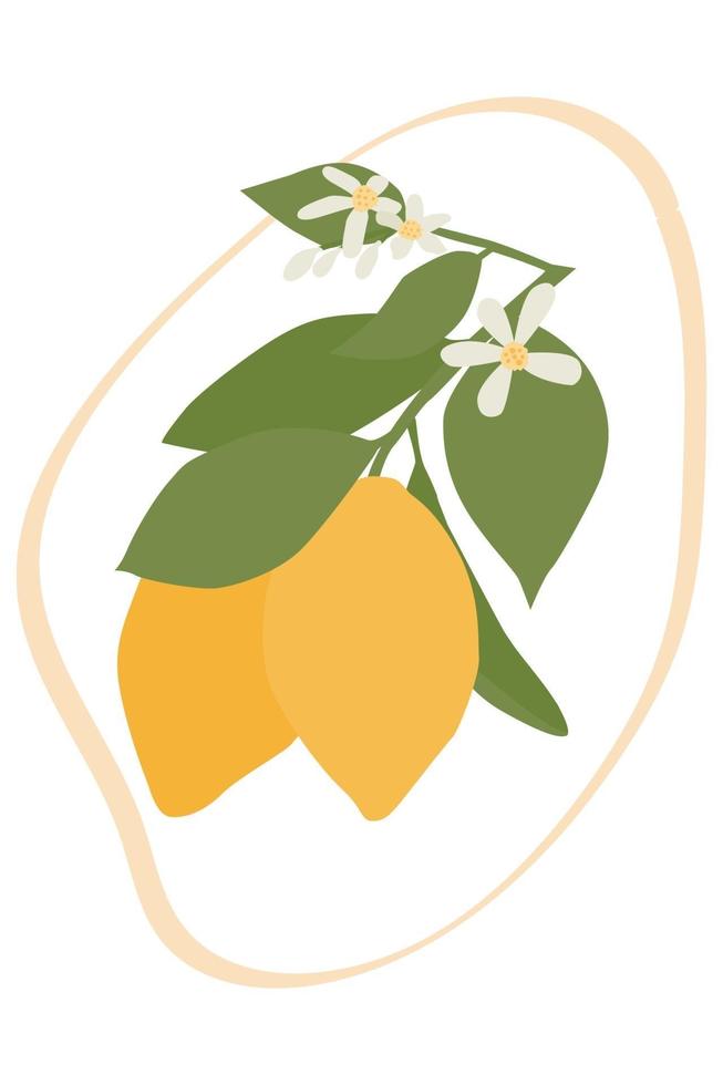 Yellow lemons on a white background, outlined. vector