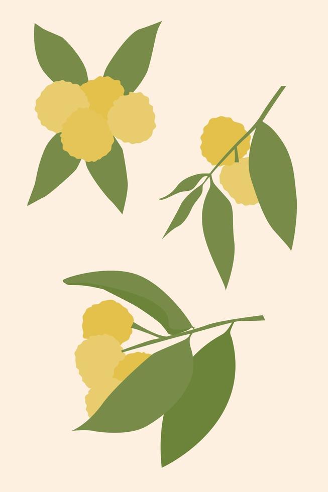 Fruit set on beige background, minimalistic illustration. vector