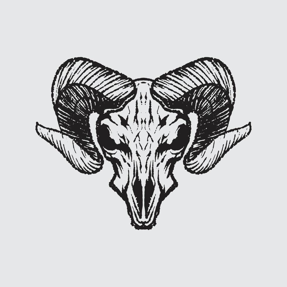 Goat skeleton drawing vector