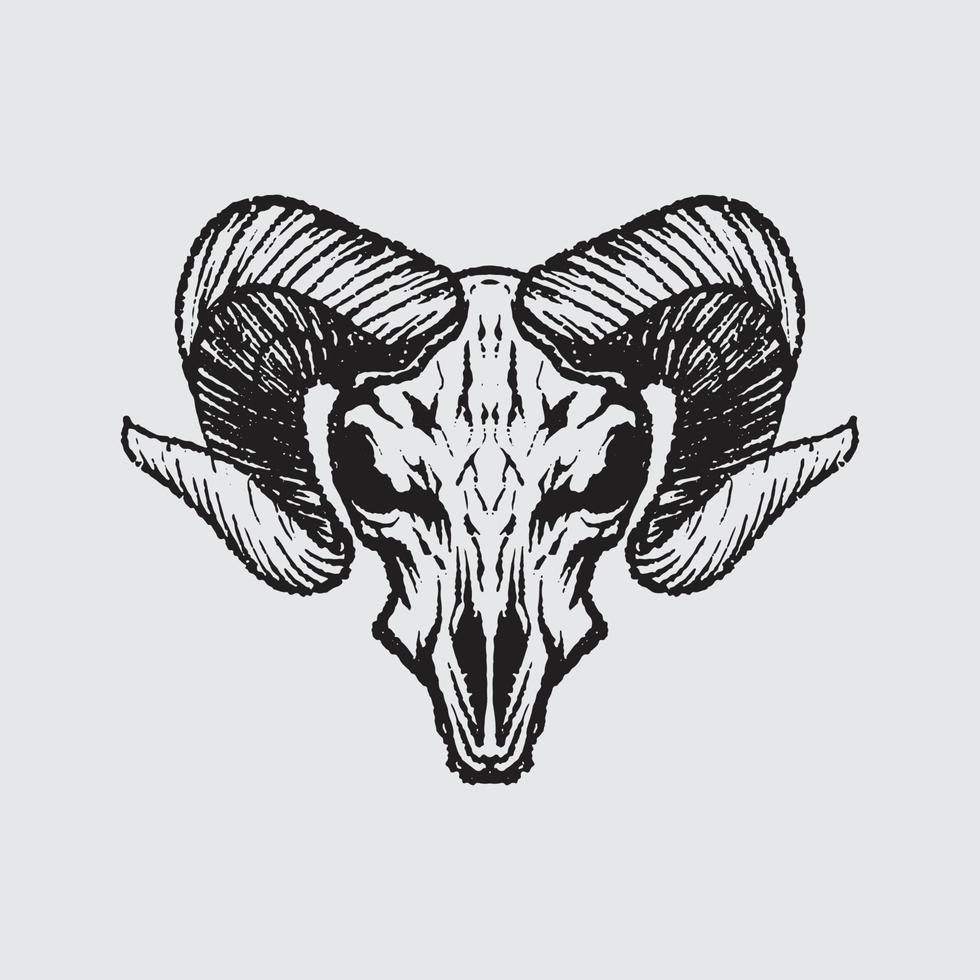 Goat skeleton drawing vector