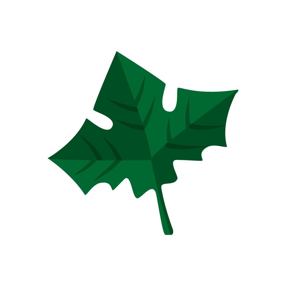 leaf nature ecology isolated icon vector