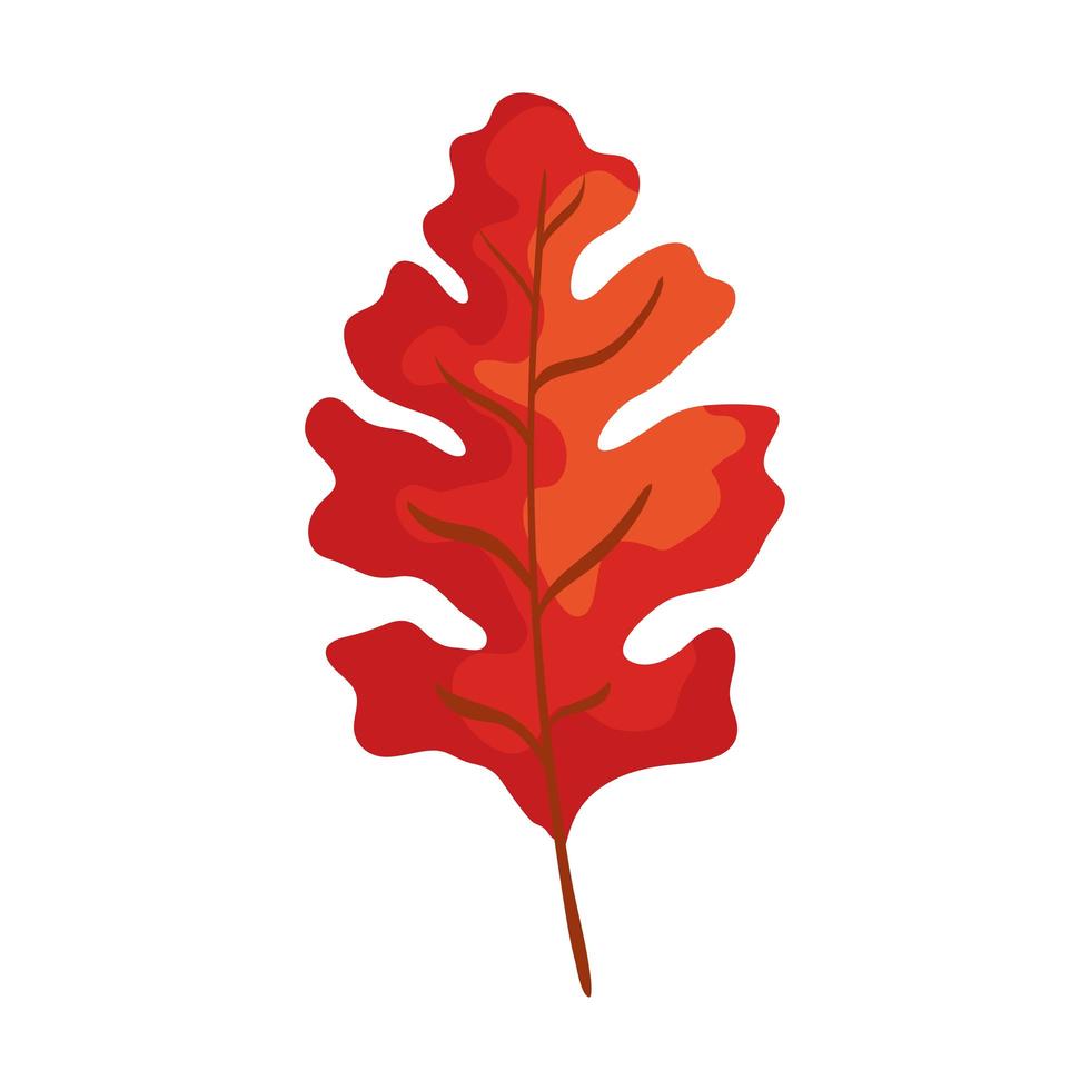 season autumn leaf isolated icon vector