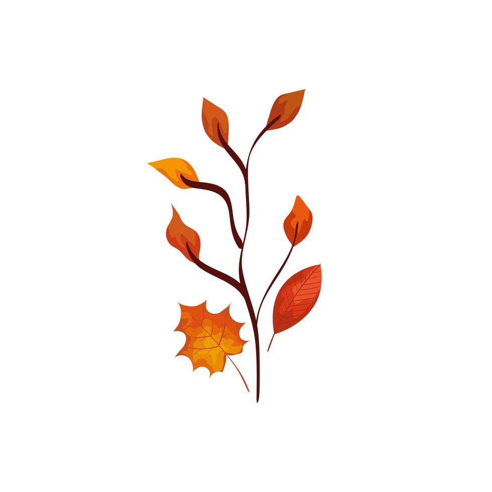 season autumn branch with leafs vector