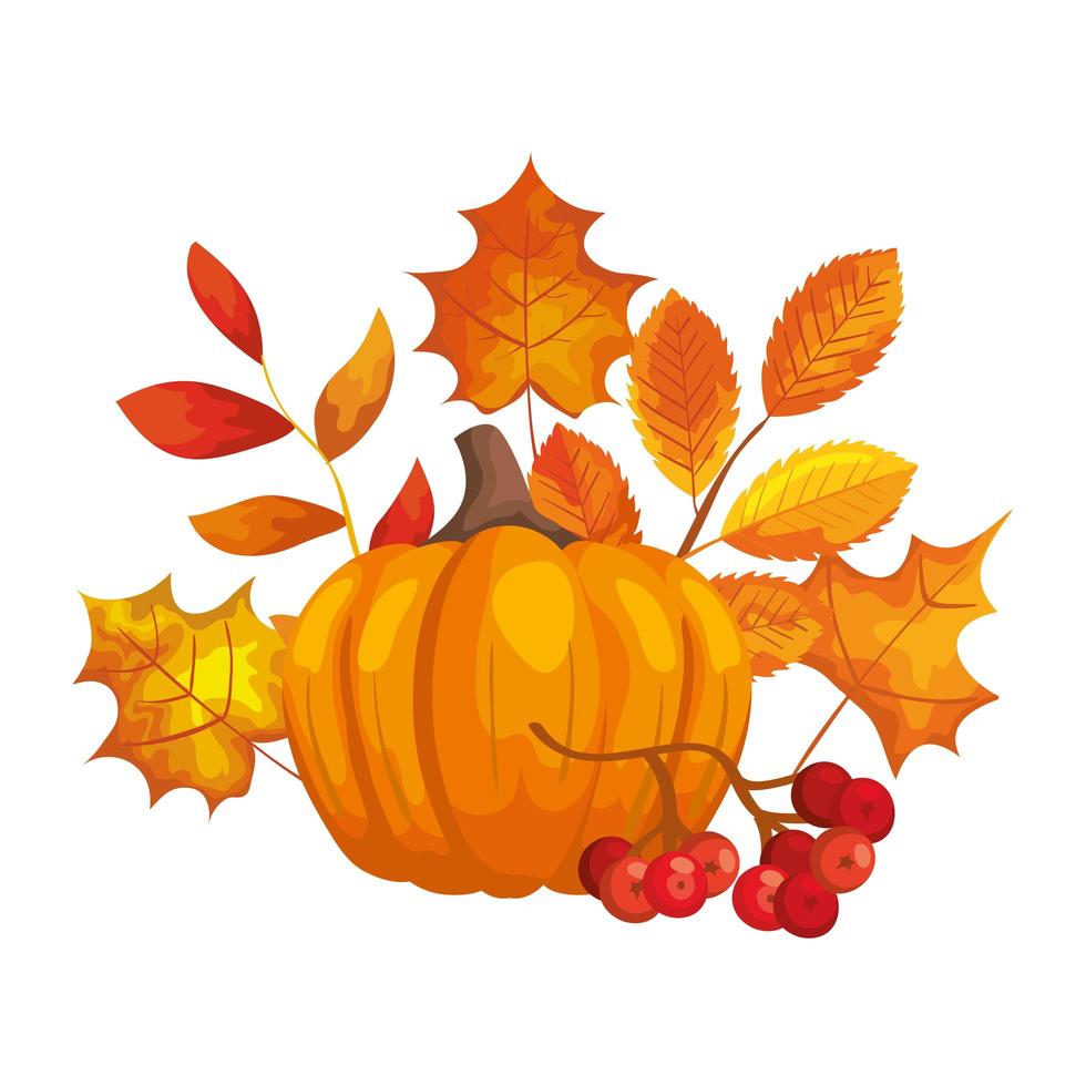 calabaza con hojas de otoño icono aislado vector