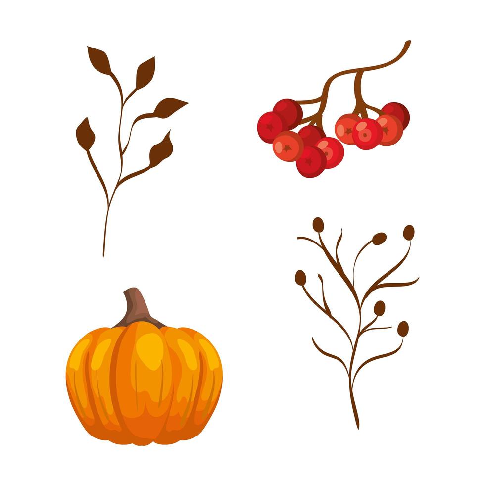 season autumn pumpkin with branches and fruits vector