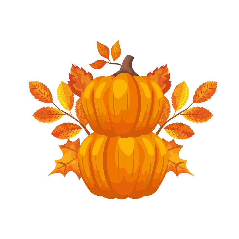 calabaza con hojas de otoño icono aislado vector