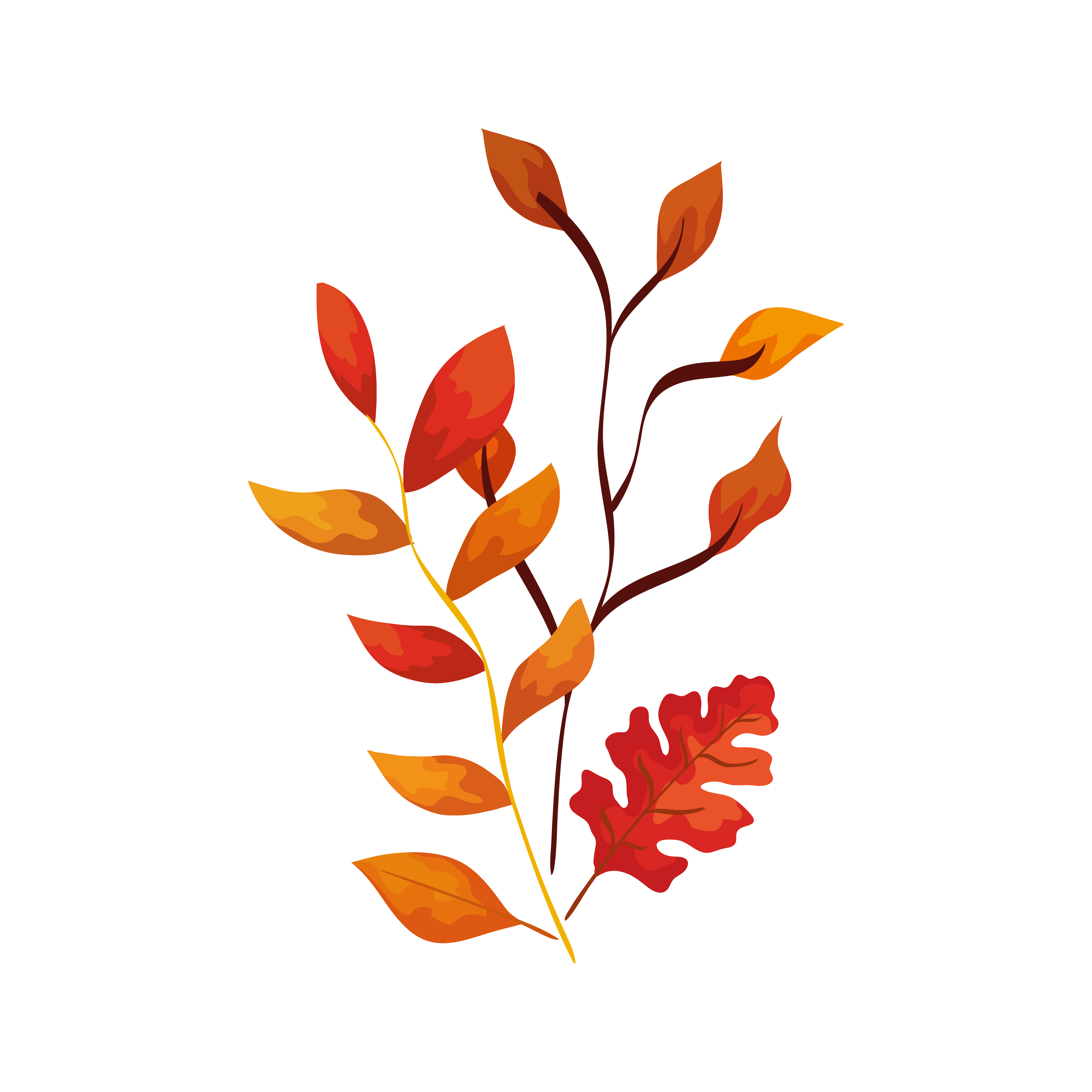 season autumn branches with leafs 3171522 Vector Art at Vecteezy