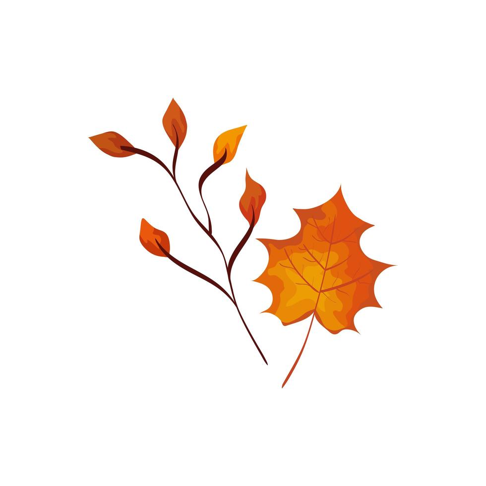 season autumn branch with leafs vector