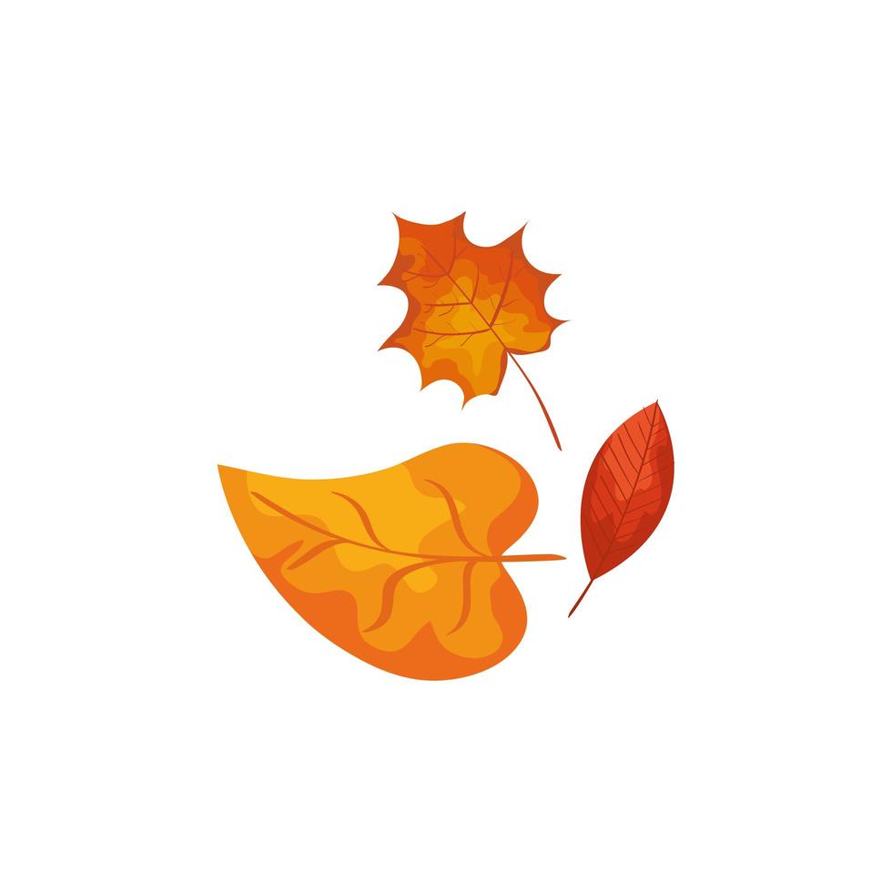 temporada otoño hojas icono aislado vector