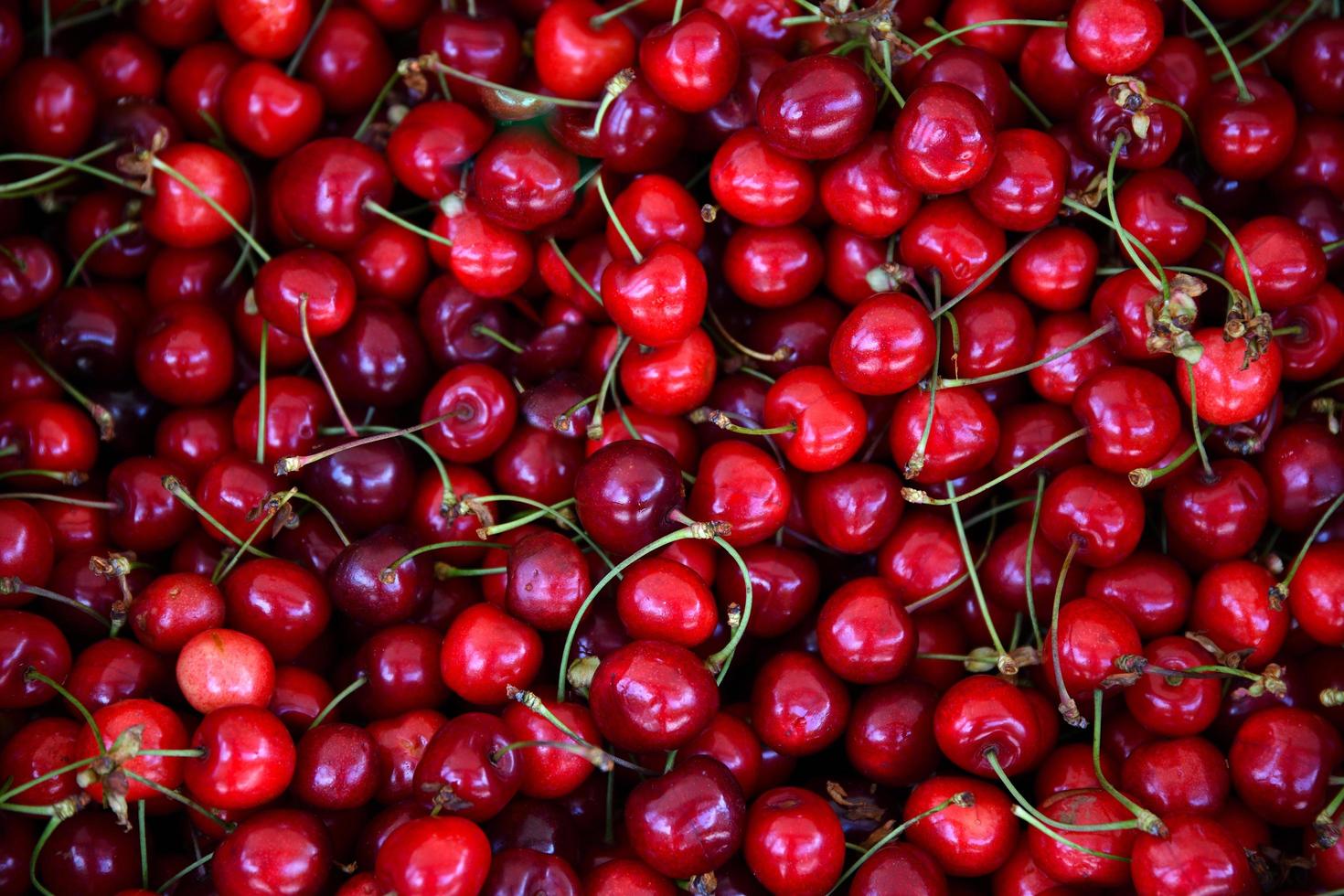 Close up view of cherries photo