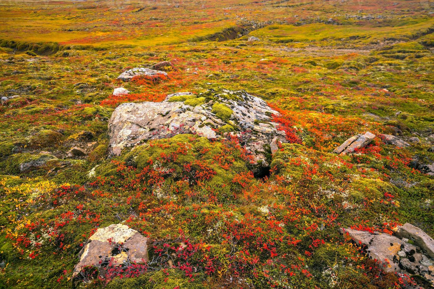 hermoso paisaje de la naturaleza en otoño foto