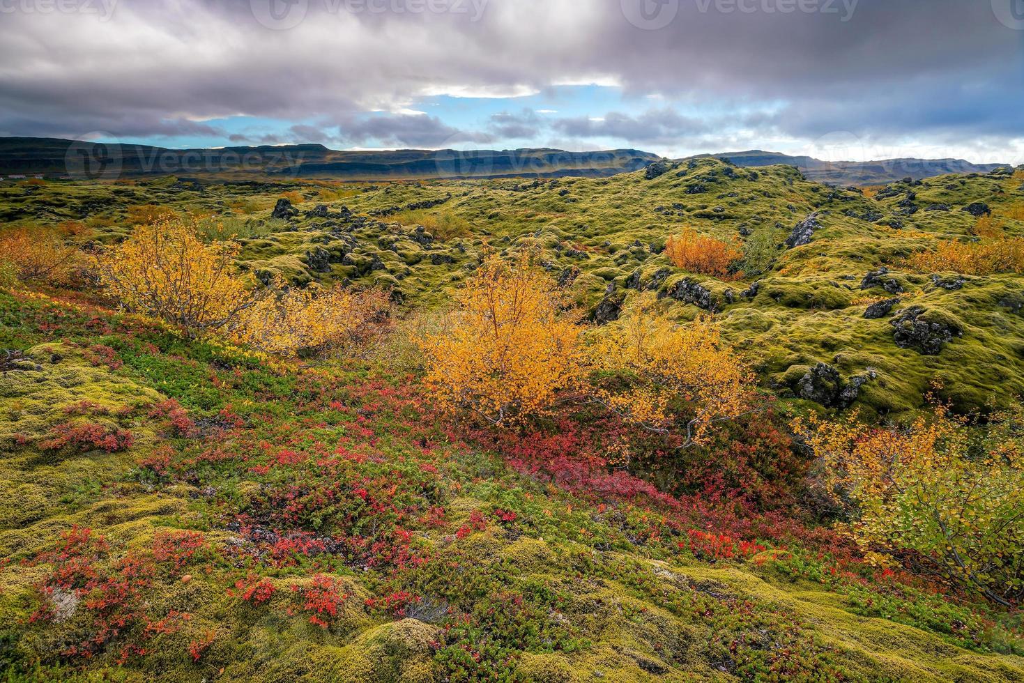 Iceland beautiful landscape, Icelandic nature landscape. photo