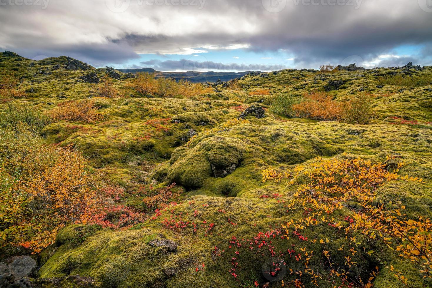 Iceland beautiful landscape, Icelandic nature landscape. photo