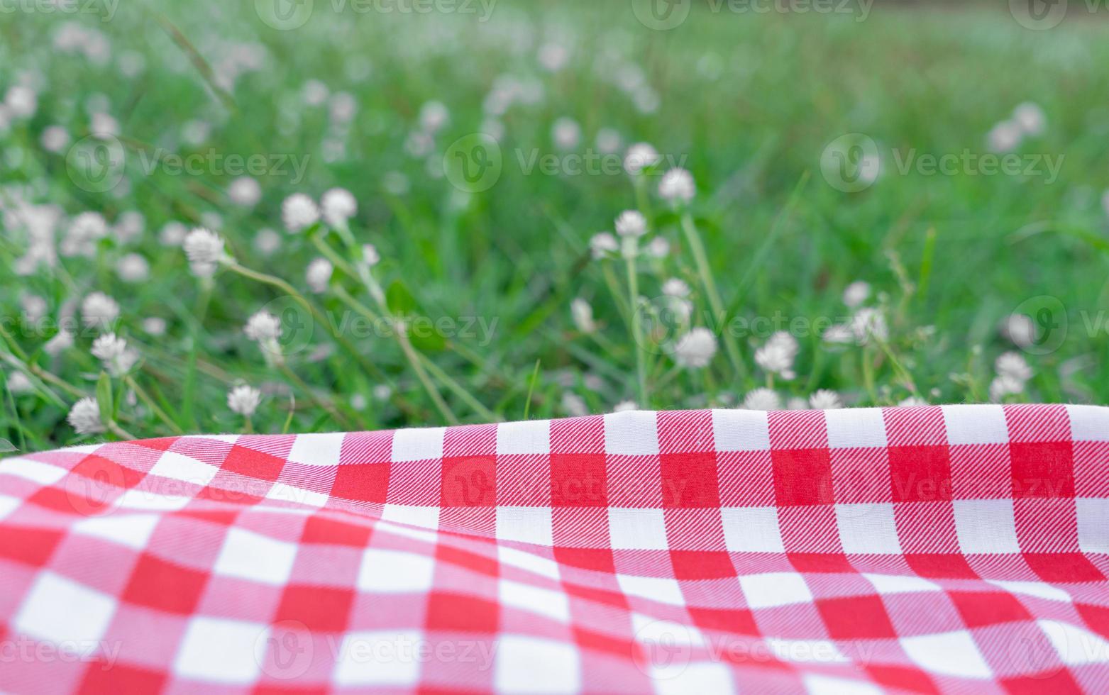 Red checkered tablecloth texture with on green grass at the garden photo