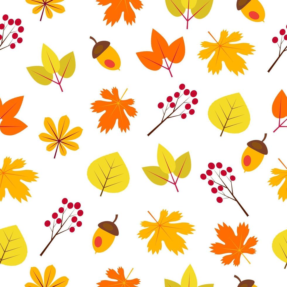 patrón sin fisuras con hojas de otoño, bellotas y bayas. vector