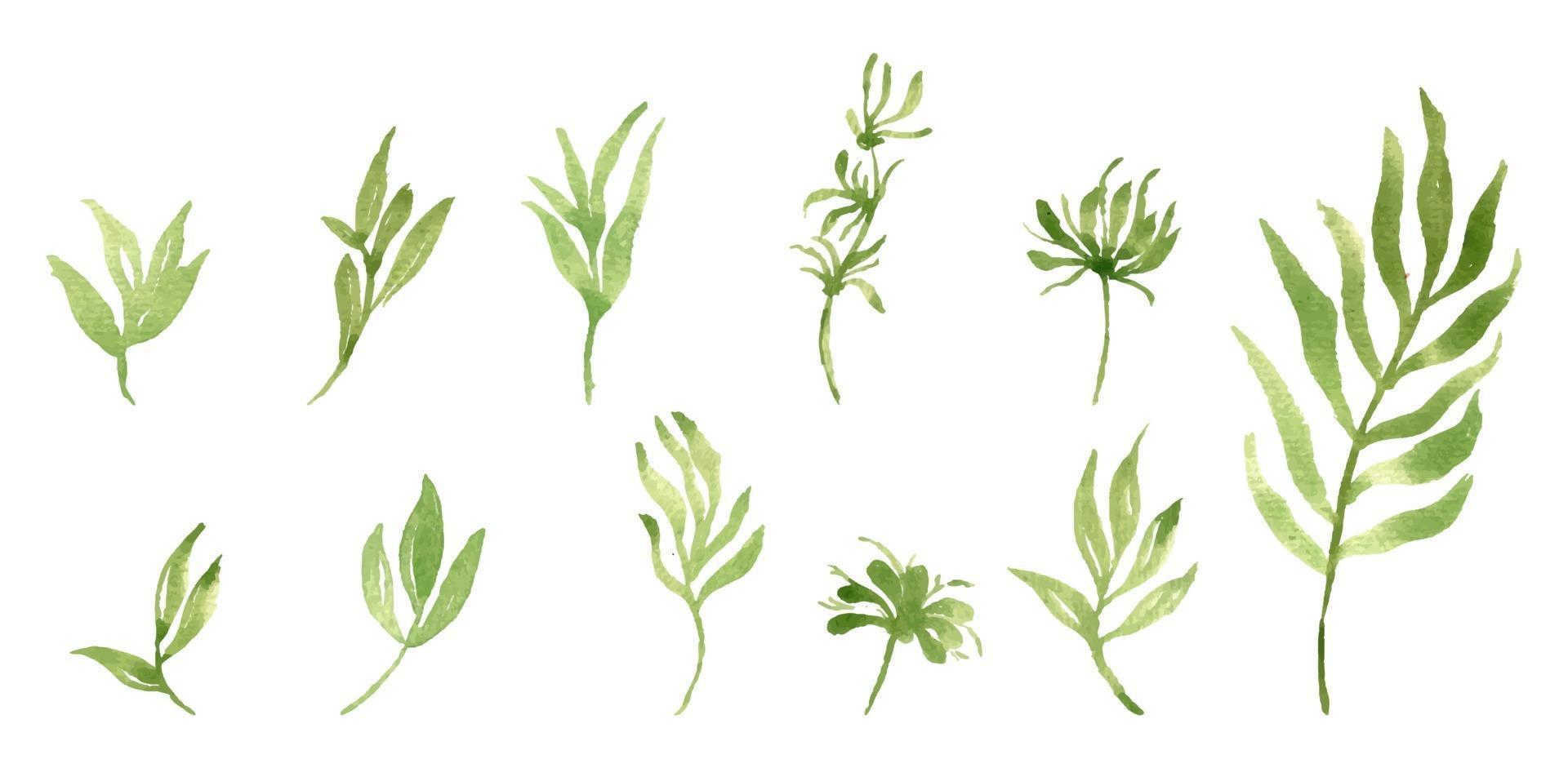 conjunto de vectores separados de hojas de acuarela