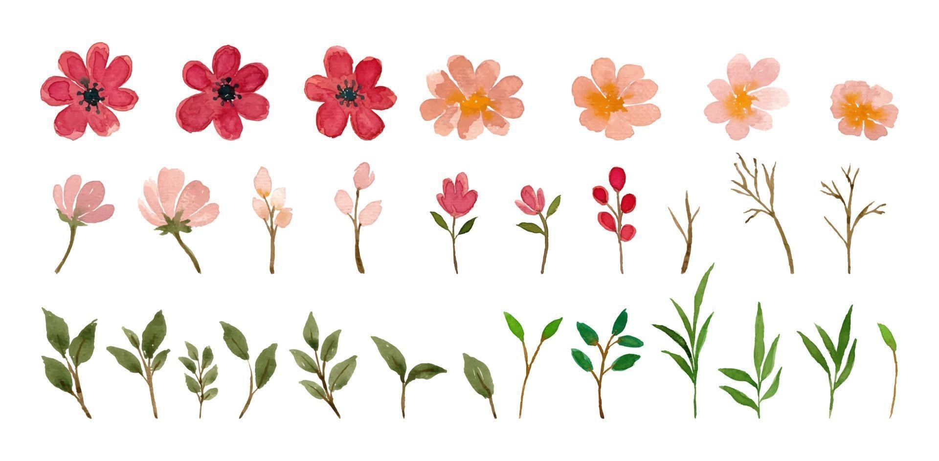 peach flower watercolor element vector