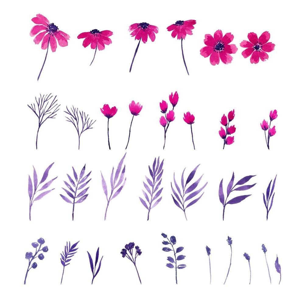 pink and purple watercolor flower element vector