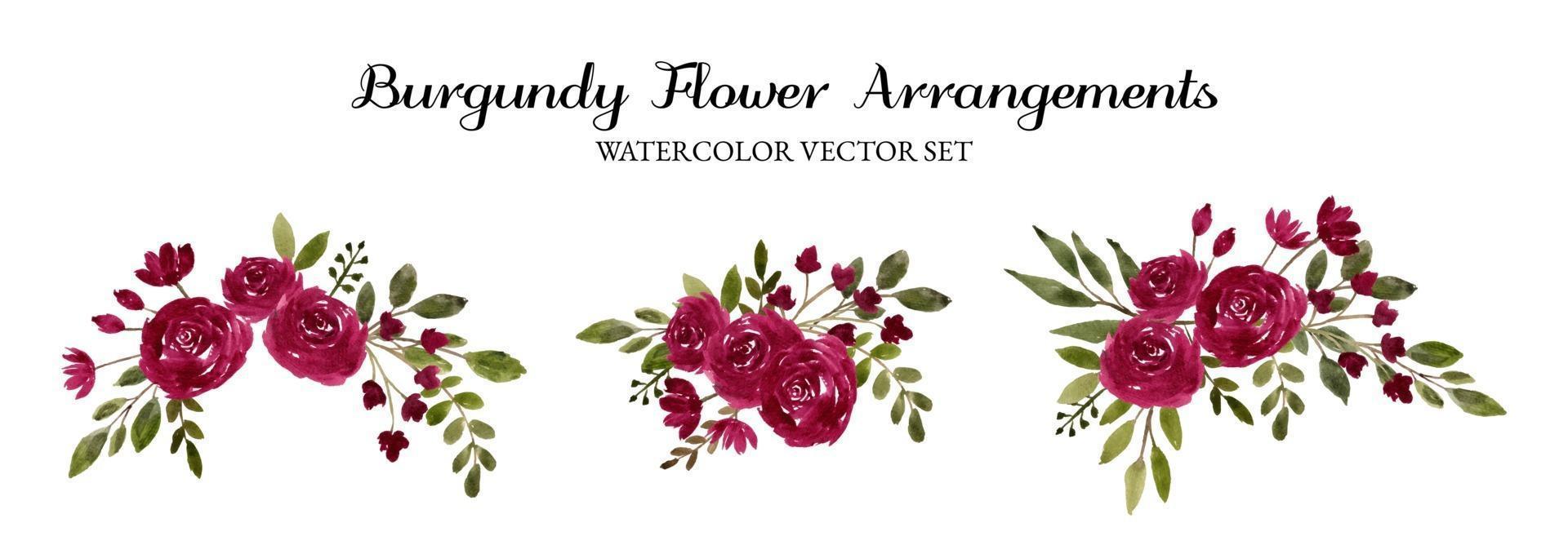 burgundy watercolor flower arrangement separated vector set