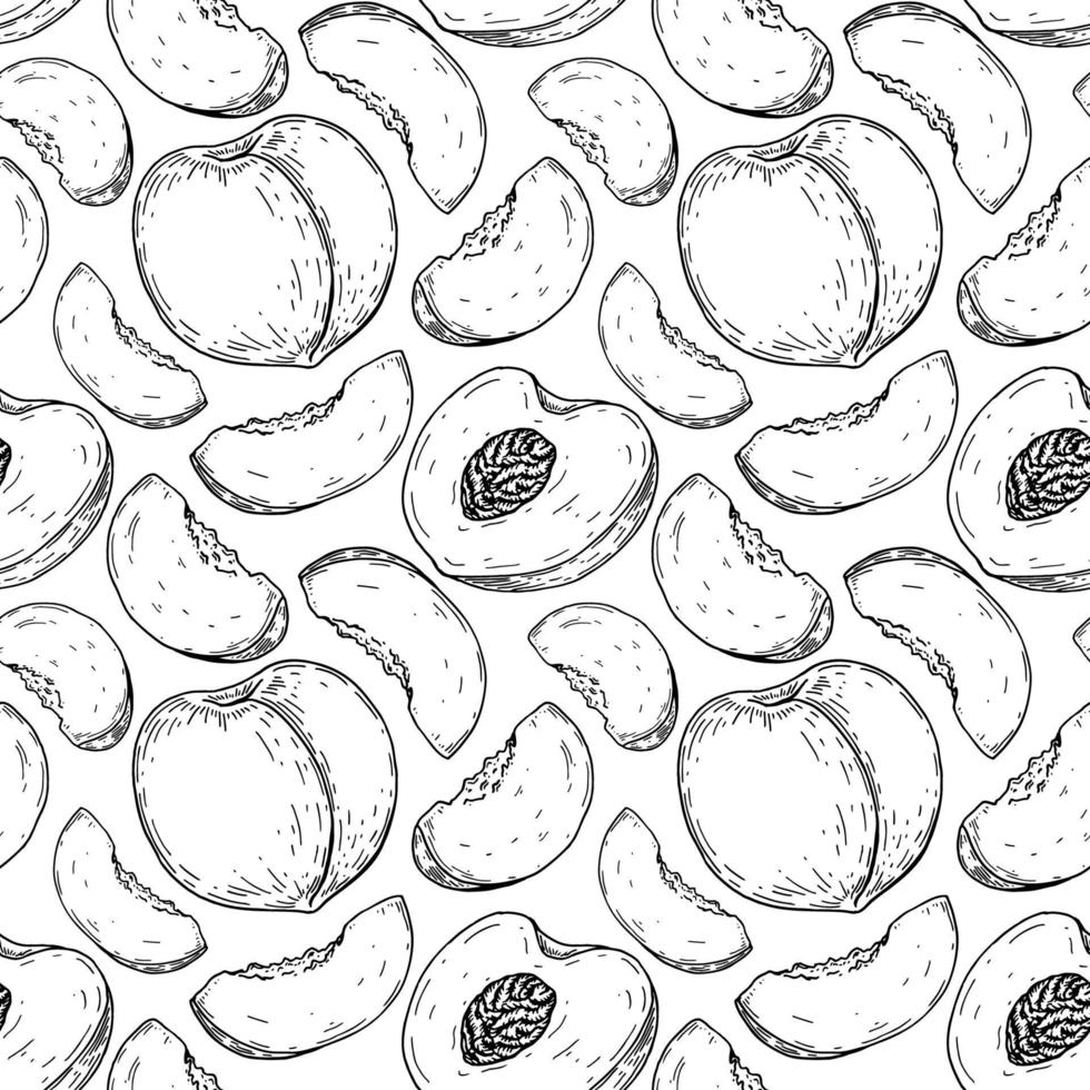 Hand drawn peach seamless pattern. Vector illustration