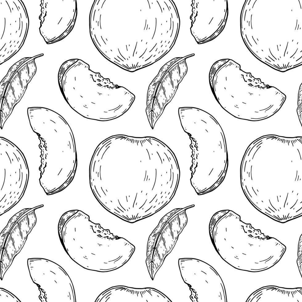 Hand drawn peach seamless pattern. vector