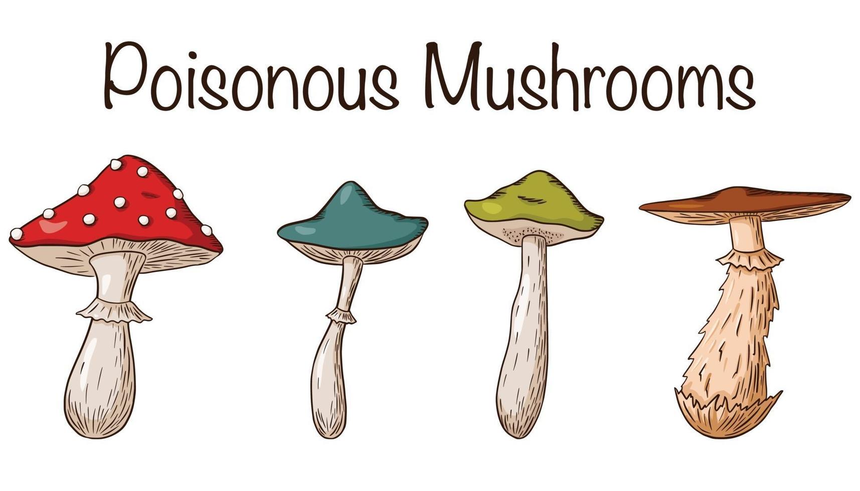 Poisonous Mushrooms Set vector