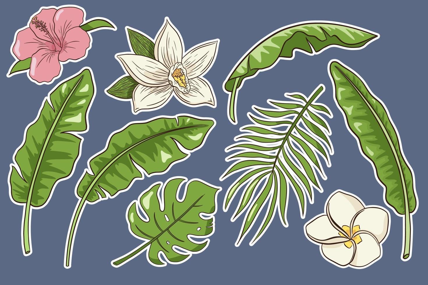 Tropical Flowers and Leaves Stickers Set vector